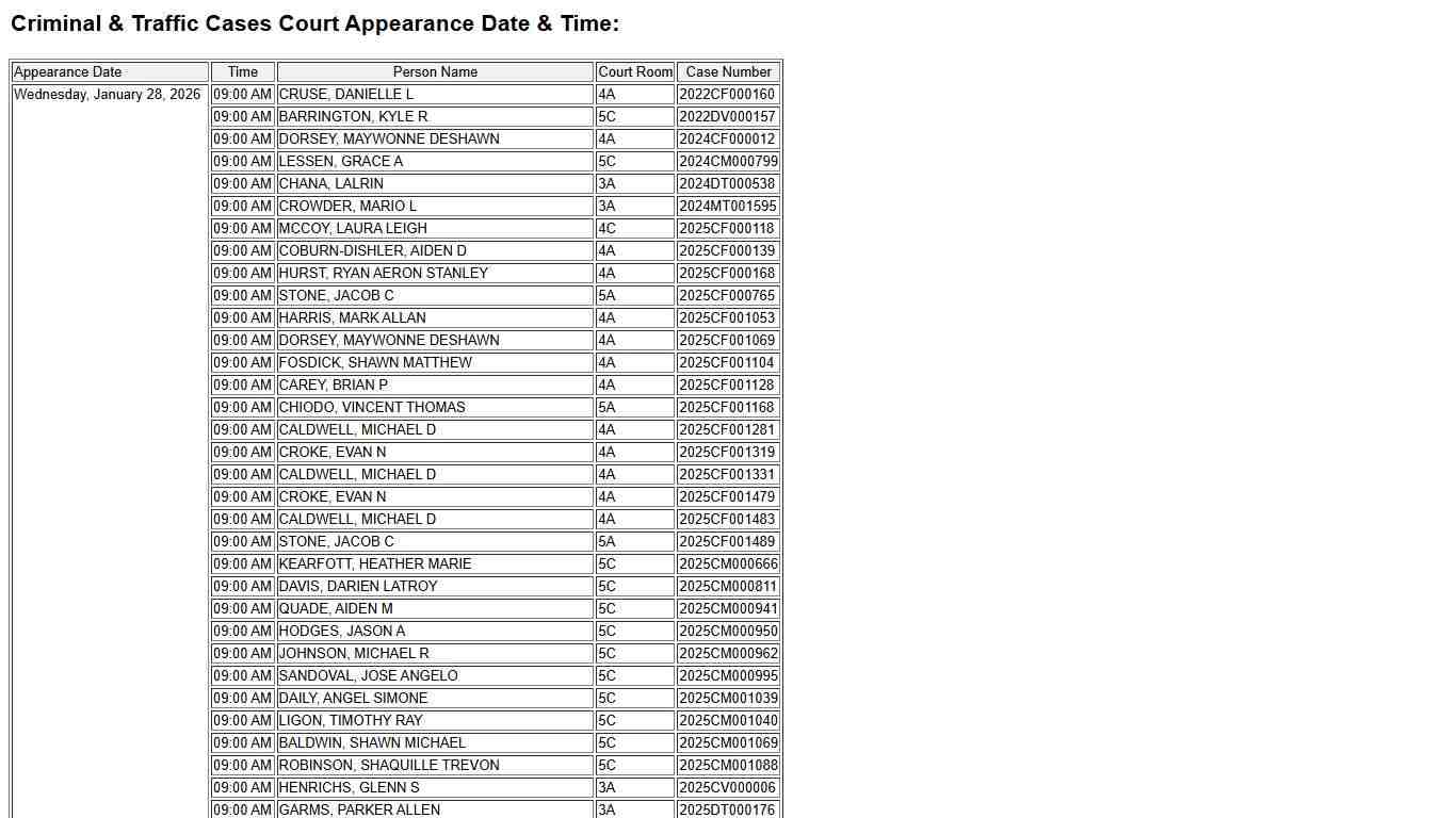 Dockets Criminal & Traffic Cases